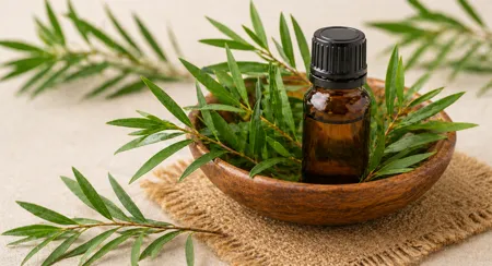 Mycotraxin tea tree oil